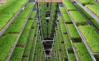 衡山县：智能化育秧助春耕