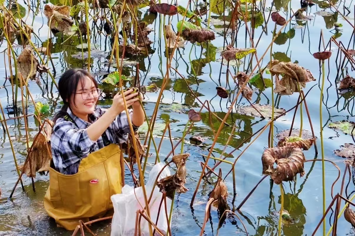 湖南科技大学学子创业玩鳖？快来听“莲田金鳖”背后的故事