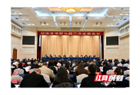 双语丨湖南省侨联九届三次全委会议在长沙举行