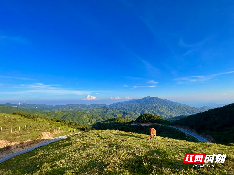 每日一景｜郴州桂阳：天空湛蓝 美景如画