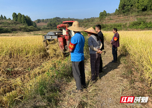 桂阳县仁义镇：建好三支队伍 抓实控茬禁烧