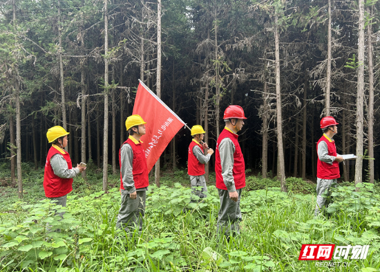 国网桂阳县供电公司  无人机“巡线” 为秋检“添翼”