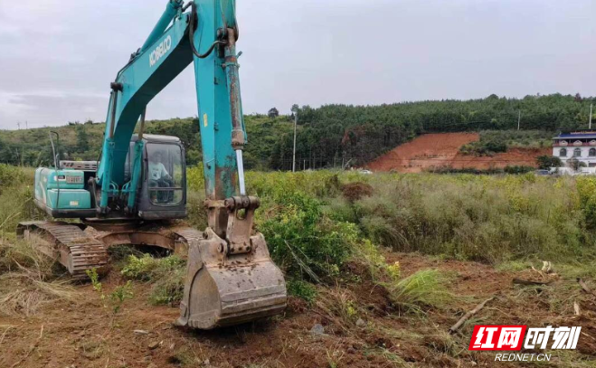 优化营商环境｜临武县花塘乡：推进耕地“非农化 非粮化”整治守好“饭碗田”