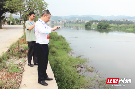 嘉禾：政协“委员河长”助力水生态文明建设