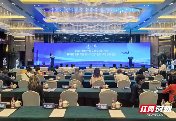 2023湘台经贸文化交流合作会郴州市承接粤港澳大湾区产业转移专场对接会开幕