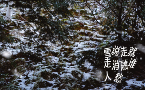 海报 | 临武：这场雪该怎样留白