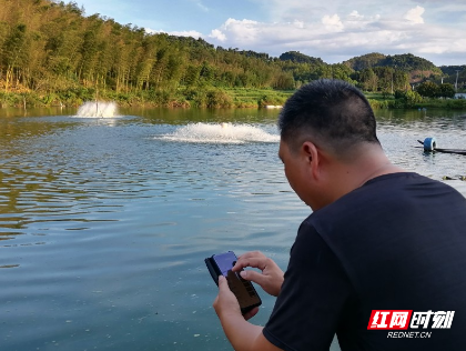 资兴：新农人“智慧养鱼” 解锁产业振兴“新密码”