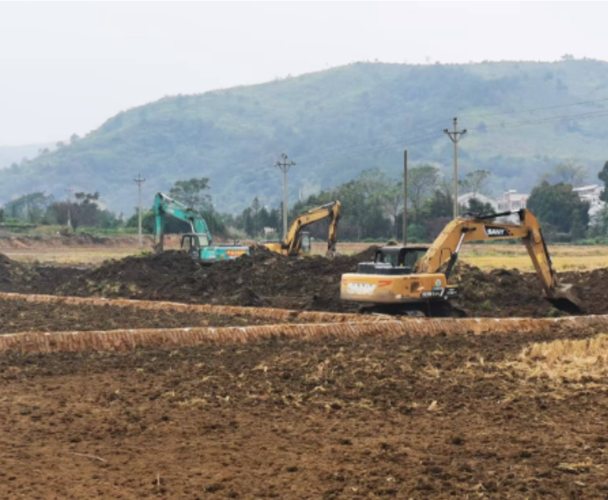 临武县南岸村有序高效推进高标准农田建设