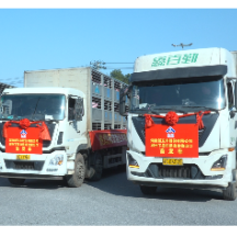 首批316头生猪从苏仙区发往港澳地区