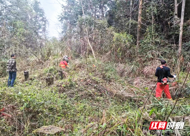 宜章县多措并举开展森林火险隐患“五清”行动 防范未燃