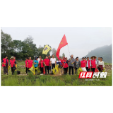 怀化洪江沅河镇：共建和美乡村