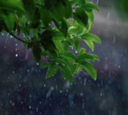 湘北湘中暴雨来袭!湖南省应急委办公室发布汛情提醒