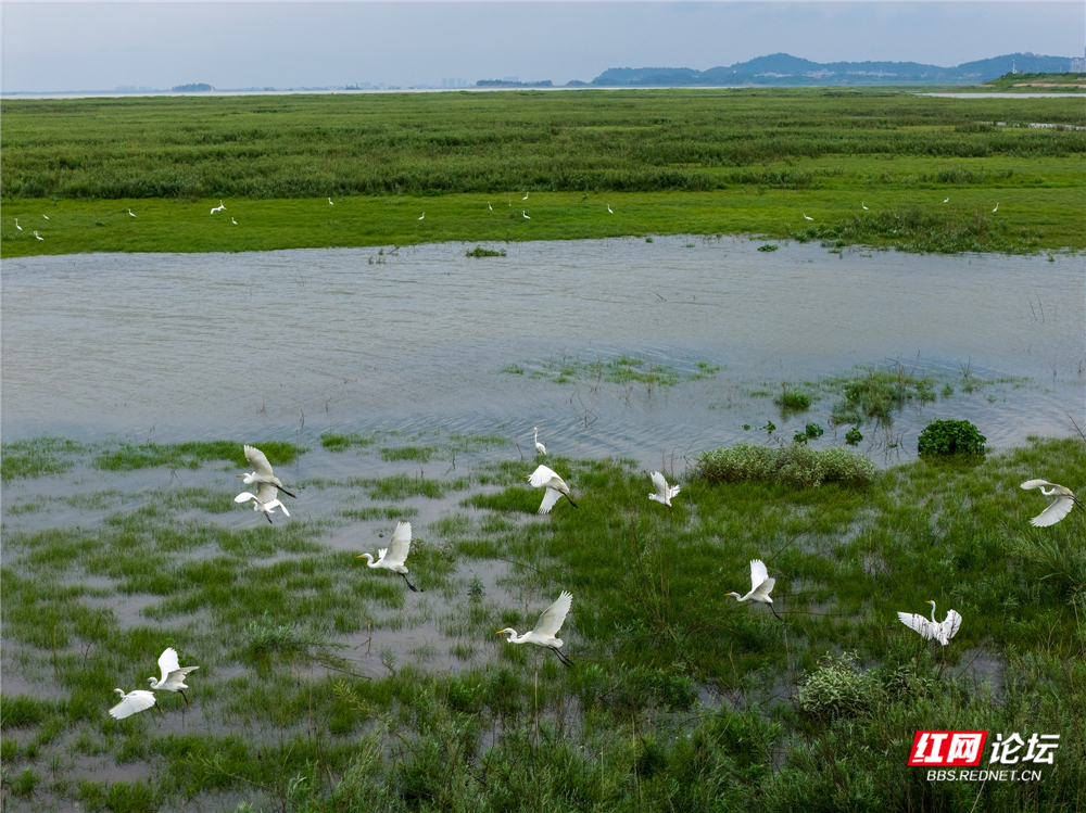 ebf78f8c3d954eb6b8157b3f08a03d3a.jpg ebf78f8c3d954eb6b8157b3f08a03d3a.jpg