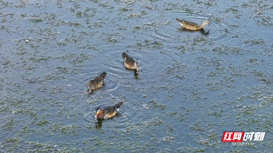 1761383984080-axt7fb9vqz.png 1761383984080-axt7fb9vqz.png