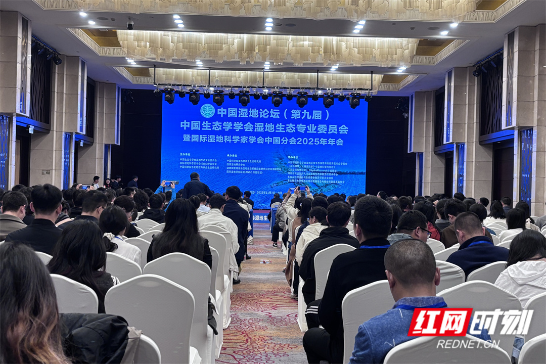 微信图片_20251109181843_303_53.jpg 微信图片_20251109181843_303_53.jpg