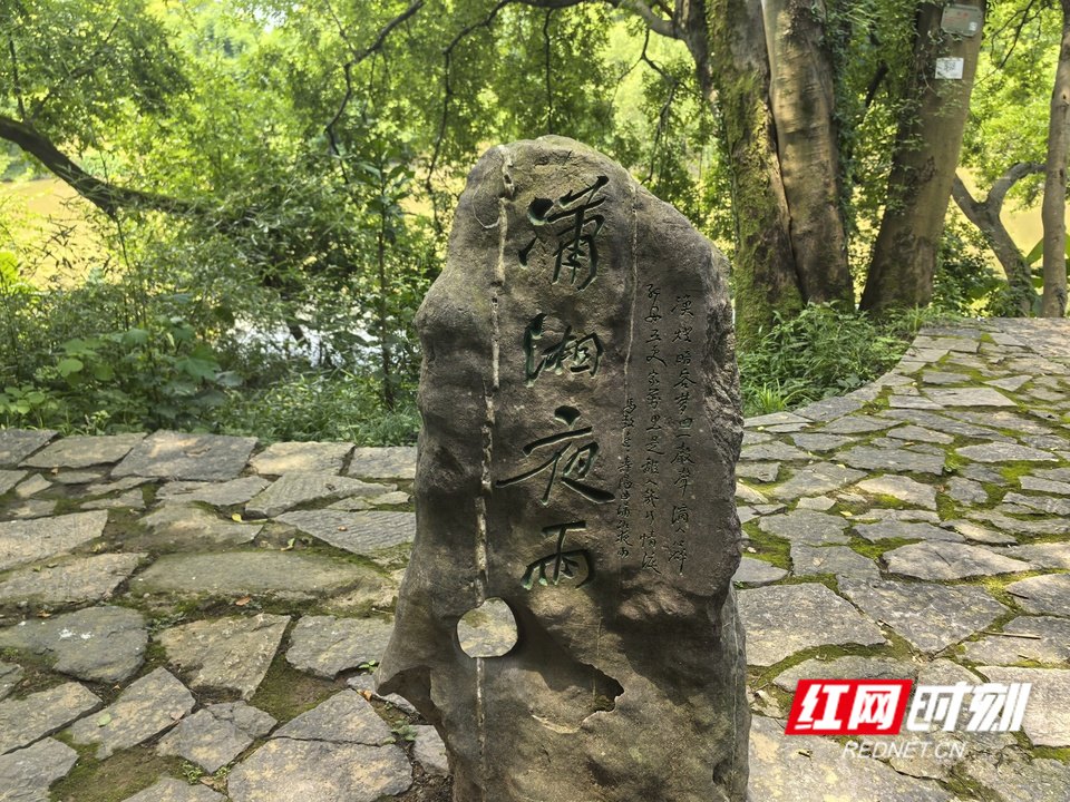我住湘江边 萍洲书院 (3).jpg