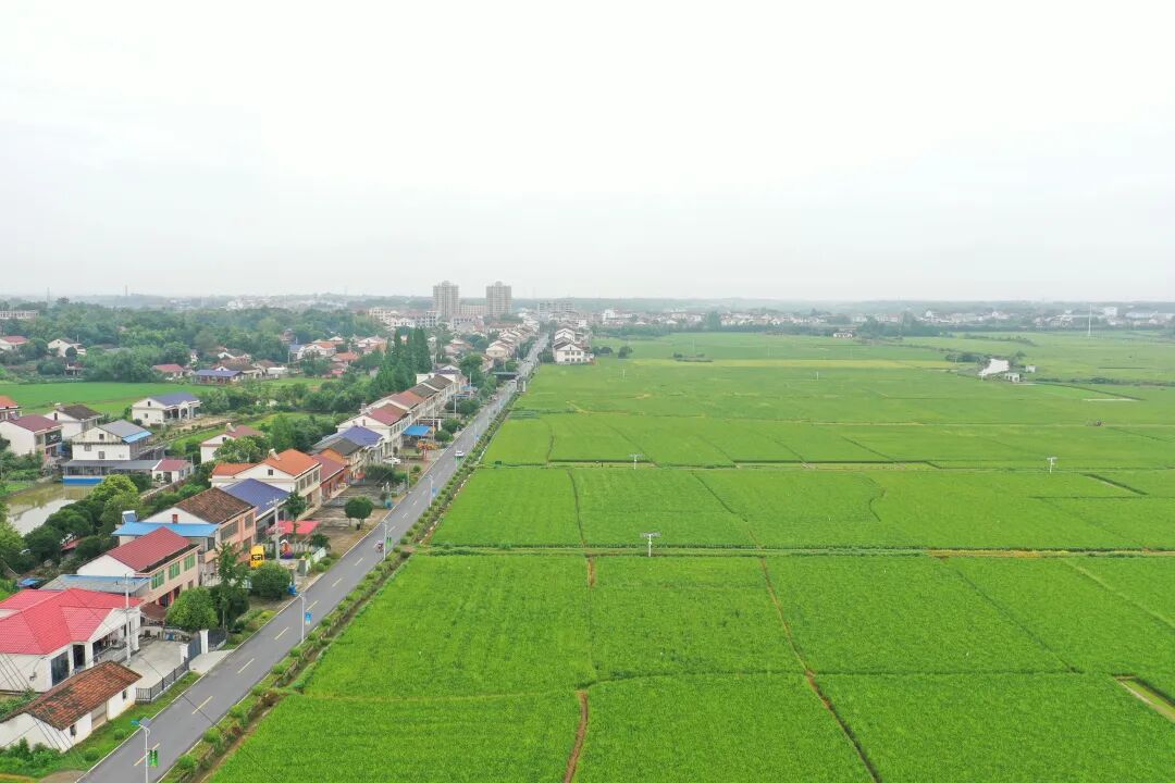 640.jpg