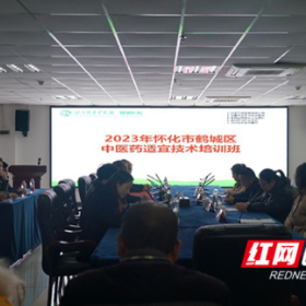 湖南医药学院第一附属医院举办怀化市中医药适宜技术培训班