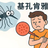 预防基孔肯雅热，清积水、灭成蚊、防叮咬是关键