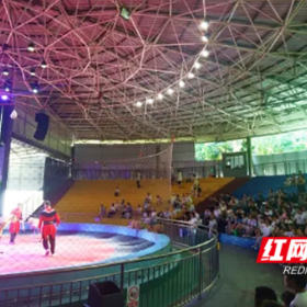 长沙市第一医院组织开展“童趣探险家”暑期亲子科普活动