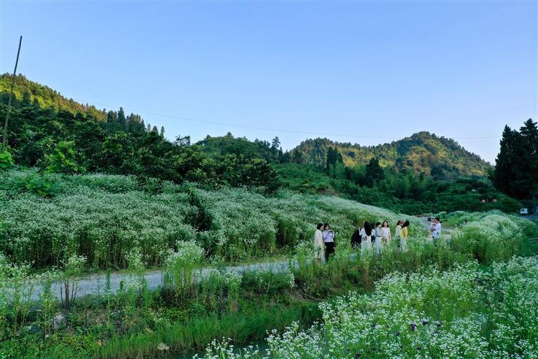 微信图片_20240617094408.png
