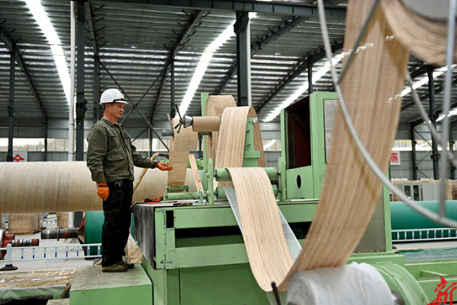 Suining County Boosts Bamboo Industry