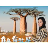 青年看世界⑫丨来马达加斯加，品一口“马岛籍湘米”