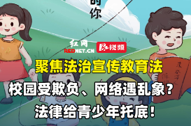 视频 | 校园受霸凌、网络遇乱象？法治宣传教育法给青少年托底！