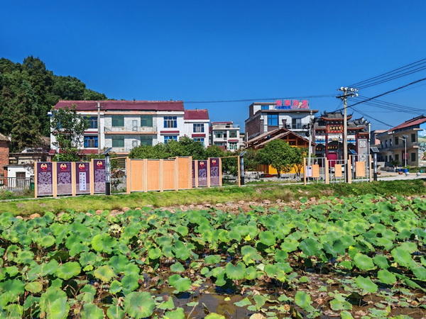 20241119e6af19550af747a3a4417e5b68ca8d0d_2024111996f8dceebad047bcae4294997d5f84b4.jpg 20241119e6af19550af747a3a4417e5b68ca8d0d_2024111996f8dceebad047bcae4294997d5f84b4.jpg