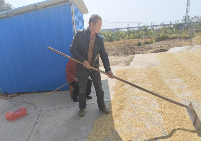 段德才农忙晒谷.png 段德才农忙晒谷.png