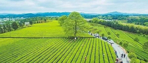 MCXP1774576461005.jpg MCXP1774576461005.jpg