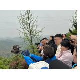 湖南多地守护“飞羽精灵” 绘就湖湘生态文明画卷
