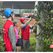 国网资兴市供电公司：电力一路护航  助力蜜桔丰收