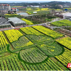汝城县沙洲村取经路：乡村振兴的四地启示