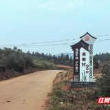 桂阳县南衙村：特色村牌扮靓新农村