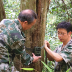 宜章：“稀客”频现山林