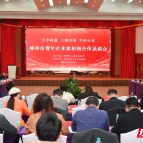 郴州市青年企业家招商合作恳谈会召开：在服务郴州高质量发展中彰显青商力量