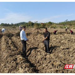 邮储银行宜章县支行：金融活水润冬耕