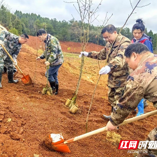 桂阳敖泉镇：义务植树助力美丽乡村建设