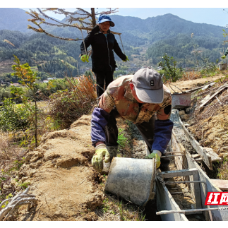 桂东新坊：抢抓农时推进高标准农田建设