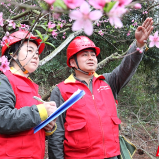 国网资兴市供电公司：“繁花”时刻迎客来  电力先行保民生