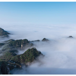 莽山旅游景区：云海频现 游客登高赏景