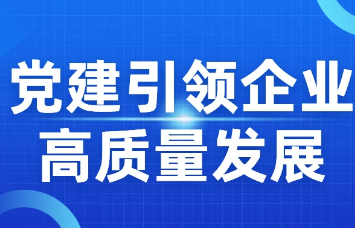 临武县水利电力有限责任公司：党建引领企业高质量发展