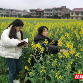 安仁：气象巾帼竞芳华