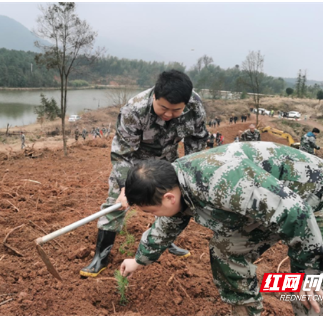 永兴县鲤鱼塘镇：党建“红”带动生态“绿”