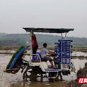 宜章县早稻生产有序进行 科技助力春耕生产