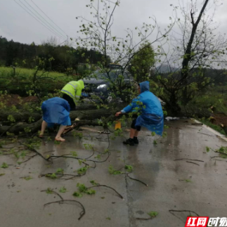 桂阳洋市镇：疾风骤雨后“三长”及时清障保平安