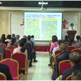 宜章县举行脐橙花果管理与果面病害防治技术培训