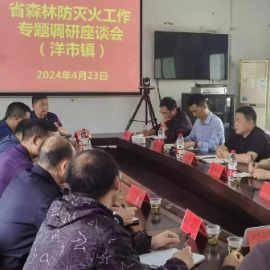 省森防办来桂阳调研森林防灭火工作
