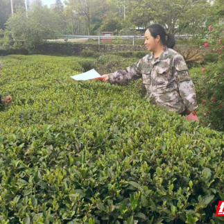 桂东县桥头乡：松绑减负 轻装上阵